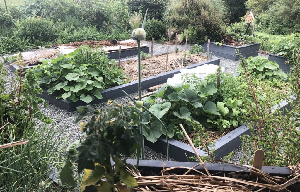 J'ai transformé ma pelouse en potager ! [GUIDE]
