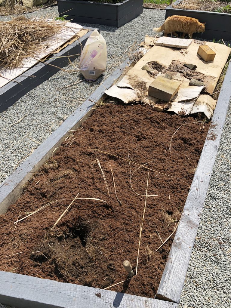 J'ai transformé ma pelouse en potager ! [GUIDE]