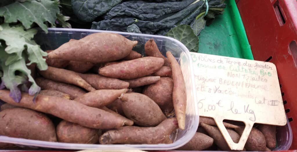 Poire de terre (Yacon) : Comment la cuisiner ? Quels bienfaits ? Idées recettes