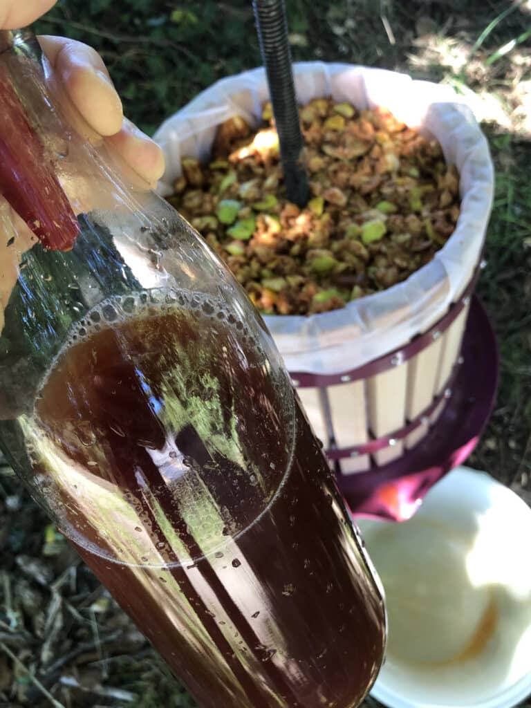 Combien de kilos de pomme pour faire un litre de cidre ?