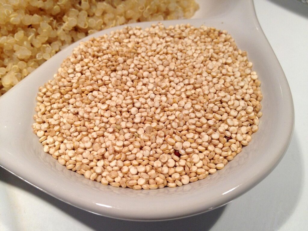 Quinoa breton : culture locale, bienfaits et idées recettes Quinoa breton : culture locale, bienfaits et idées recettes