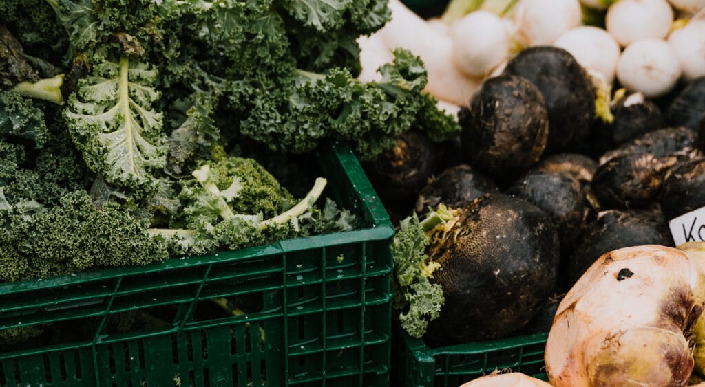 Le Radis Noir : bienfaits, goût, comment le cuisiner, idées recettes…