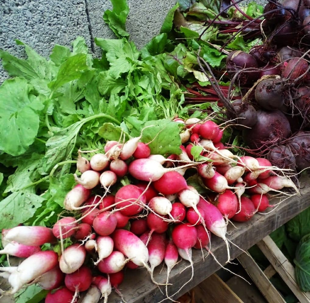 Légumes et fruits de saison - Avril [CALENDRIER + LISTE]