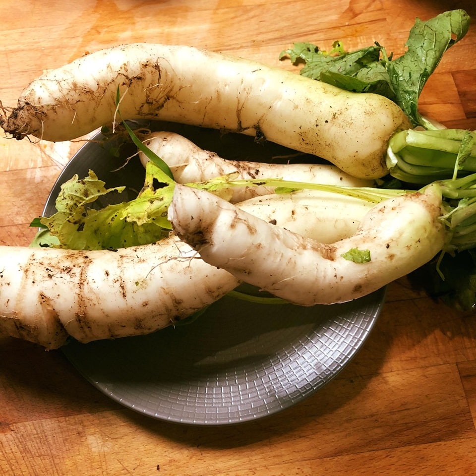 Radis d'hiver : La recette facile et délicieuse.