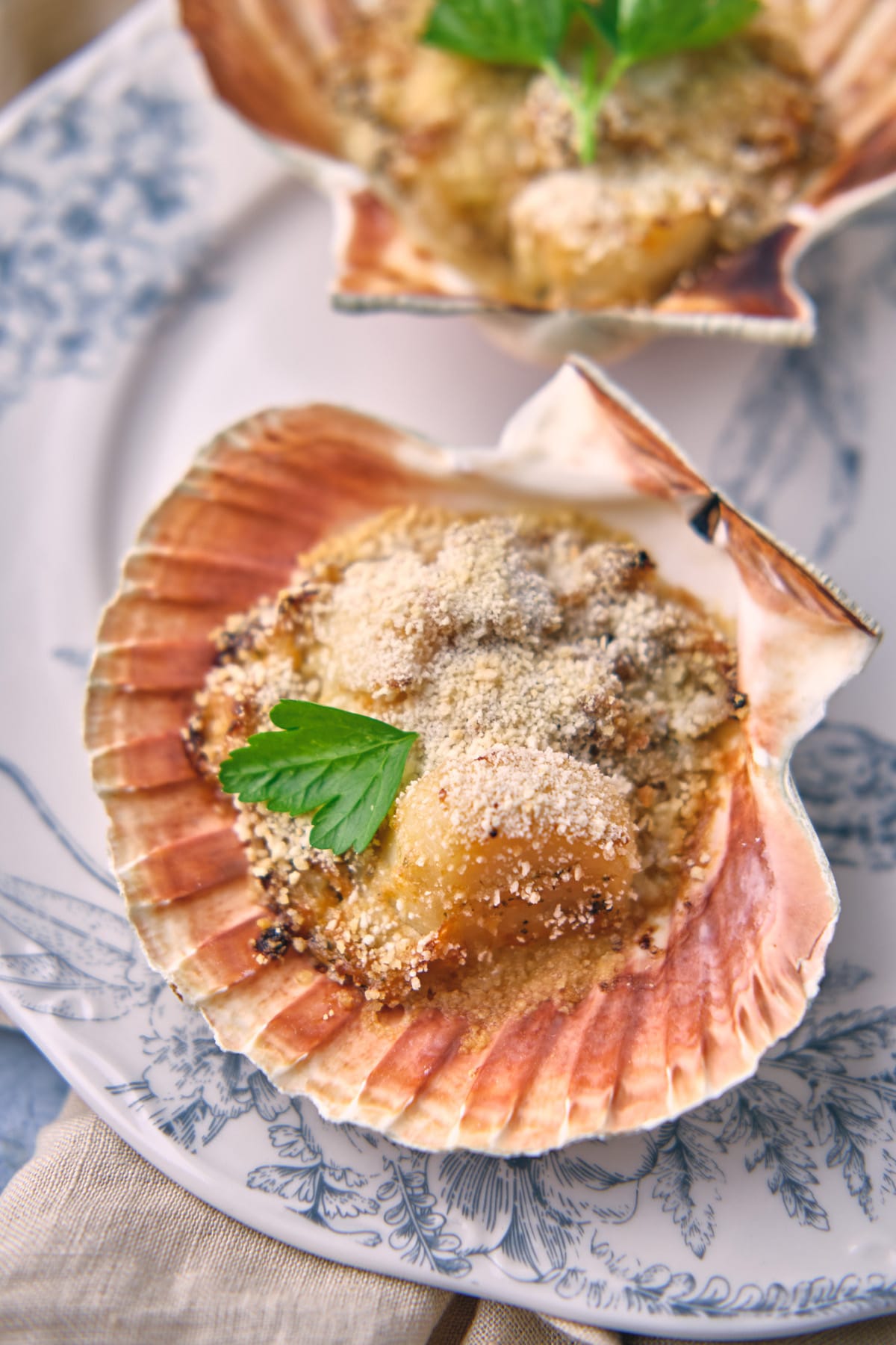 Coquille Saint Jacques à la Bretonne : La recette ! Coquille Saint Jacques à la Bretonne : La recette !