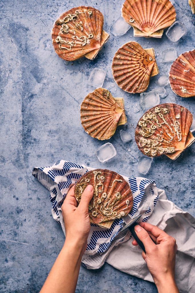Coquille Saint Jacques à la Bretonne : La recette ! Coquille Saint Jacques à la Bretonne : La recette !