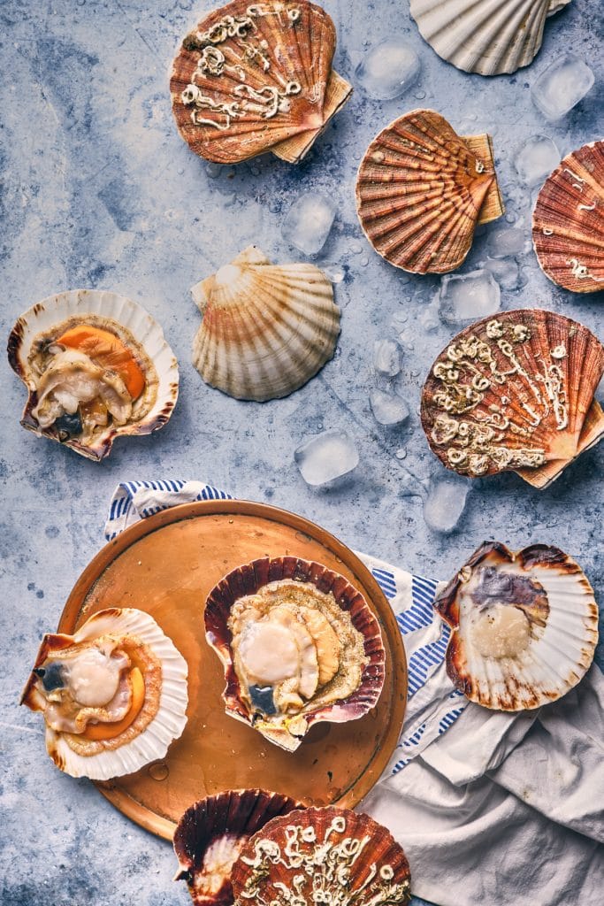 Coquille Saint Jacques à la Bretonne : La recette ! Coquille Saint Jacques à la Bretonne : La recette !
