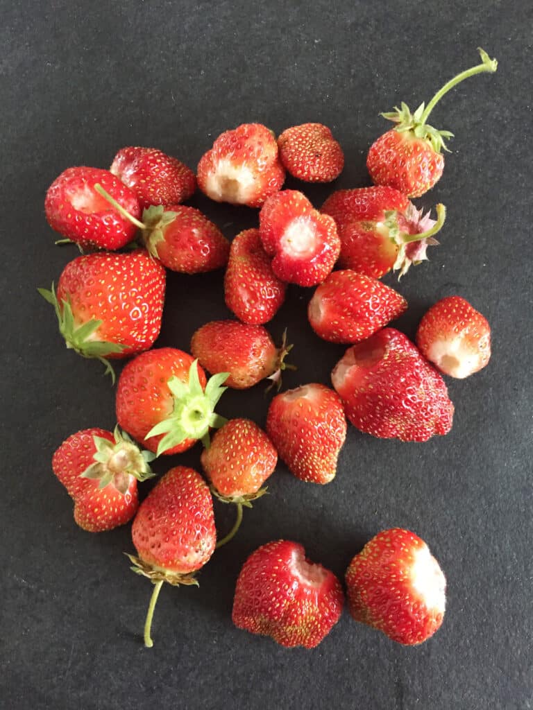 Saison de la fraise, comment la choisir, variétés… On te dit tout !