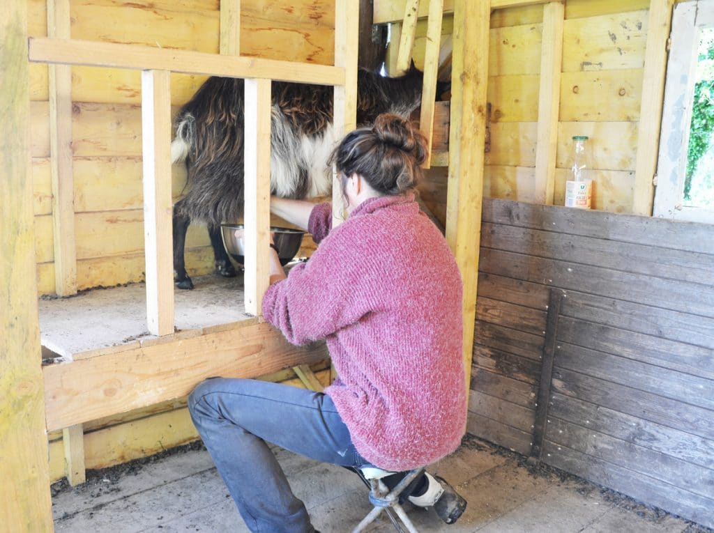 Les savons de Jadis : des savons comme avant !