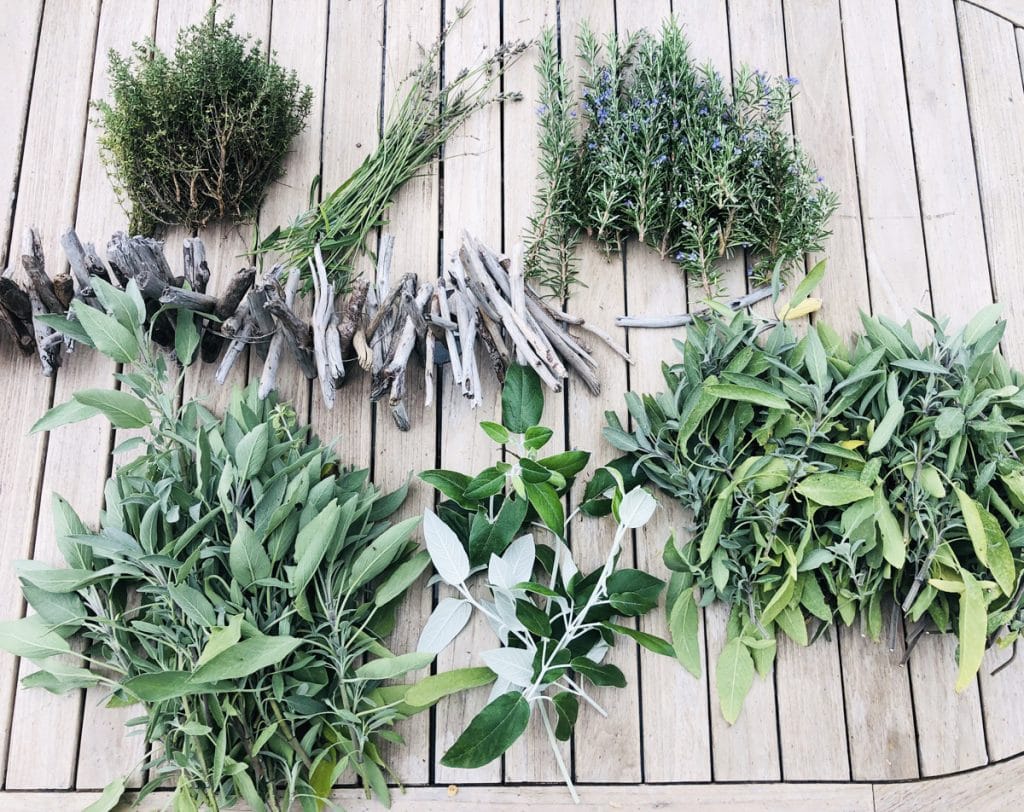 Cueillir des Plantes Sauvages 🌿 : LA Formation, complète et géniale Cueillir des Plantes Sauvages 🌿 : LA Formation, complète et géniale