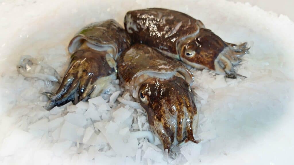 Livraison de poissons locaux et de saison à domicile : Le Panier à Poissons