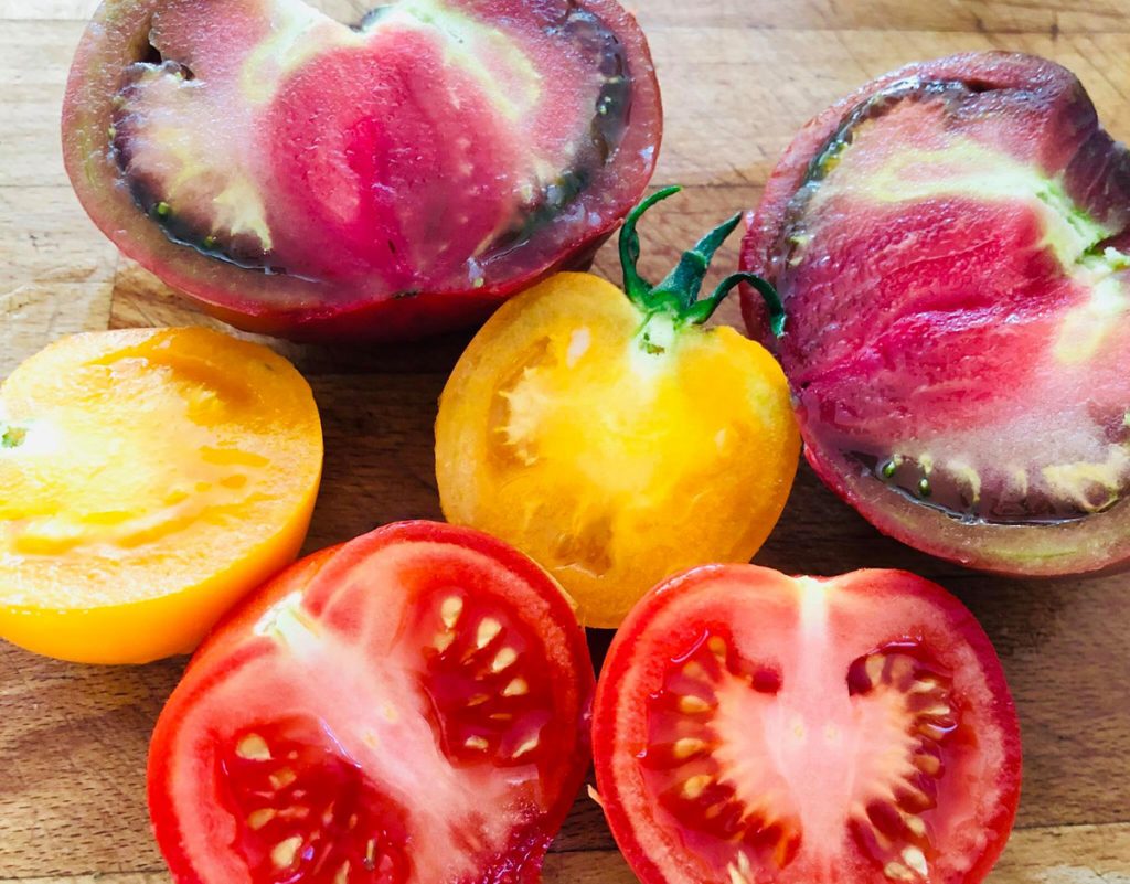 Tomates anciennes : origine, avantages, variétés à cultiver chez soi… le guide complet !