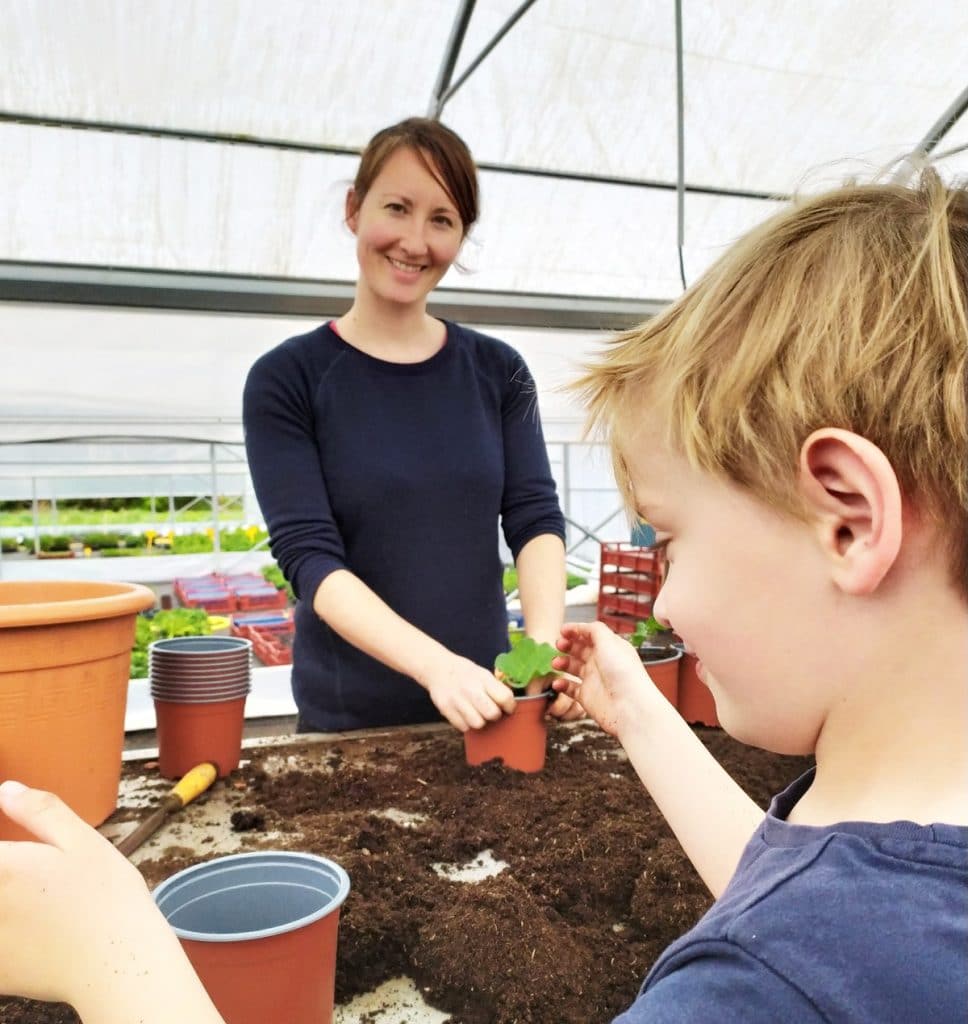 Ty Plant, pépinière locale, Bretonne et BIO ! 🌱 Ty Plant, pépinière locale, Bretonne et BIO ! 🌱